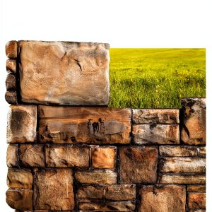 Ecclesiology Kindle eBook CCS Publishing 185pg-0